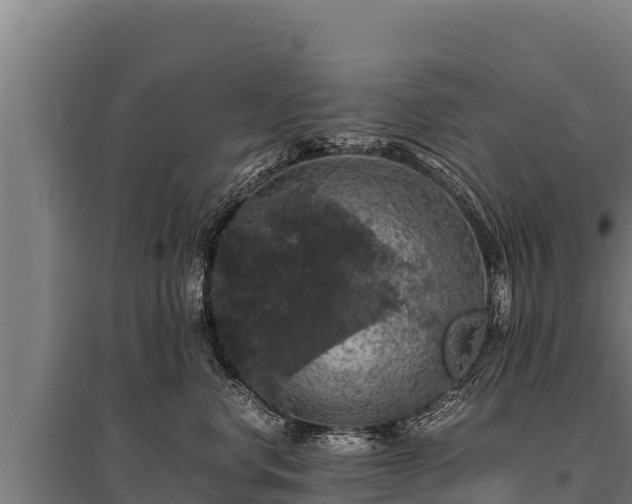 X0000095950668200801181423