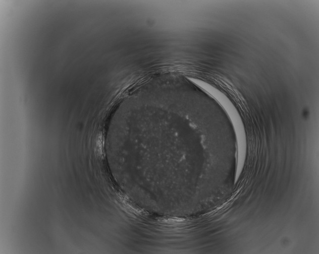 X0000095950669200801181423