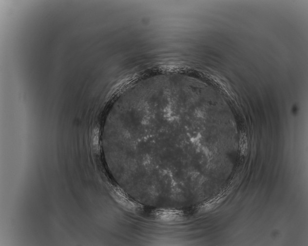 X0000095950670200801181423