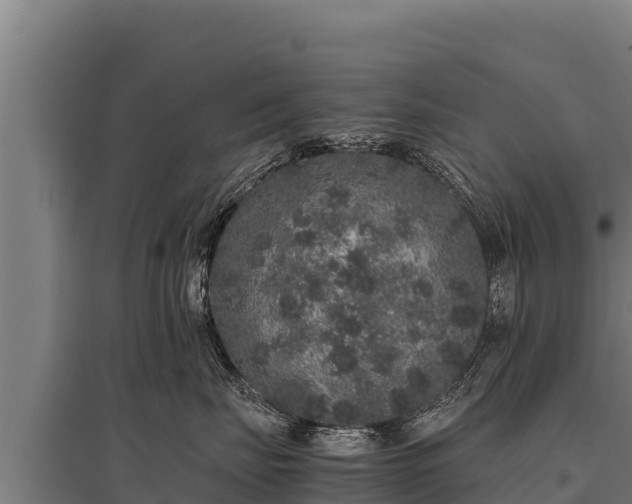 X0000095950671200801181423