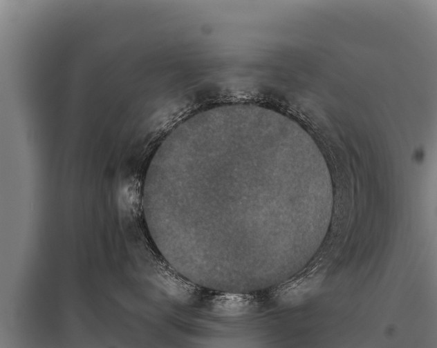 X0000095950672200801181423