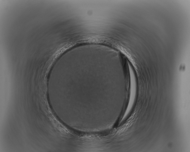 X0000095950673200801181423