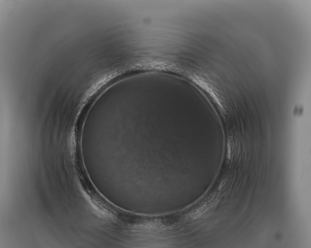 X0000095950674200801181423