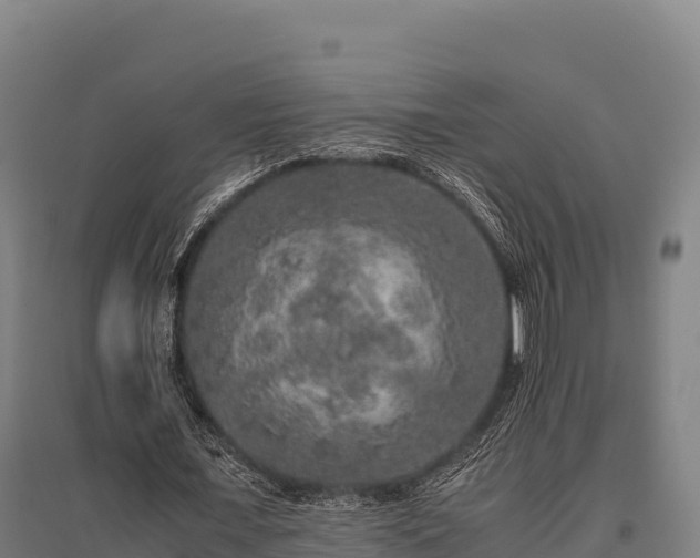 X0000095950675200801181423