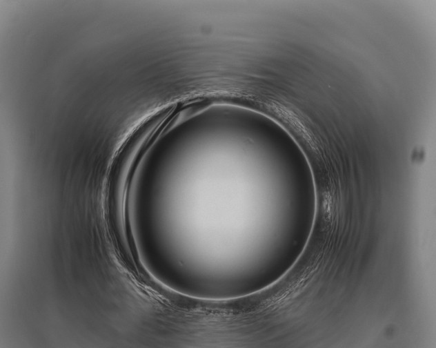 X0000095950676200801181423