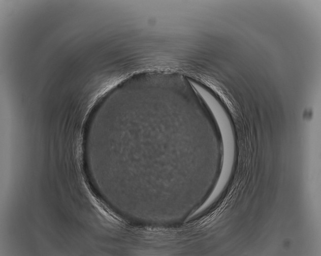 X0000095950677200801181423