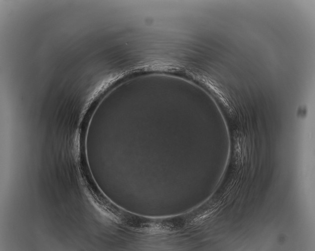 X0000095950678200801181423