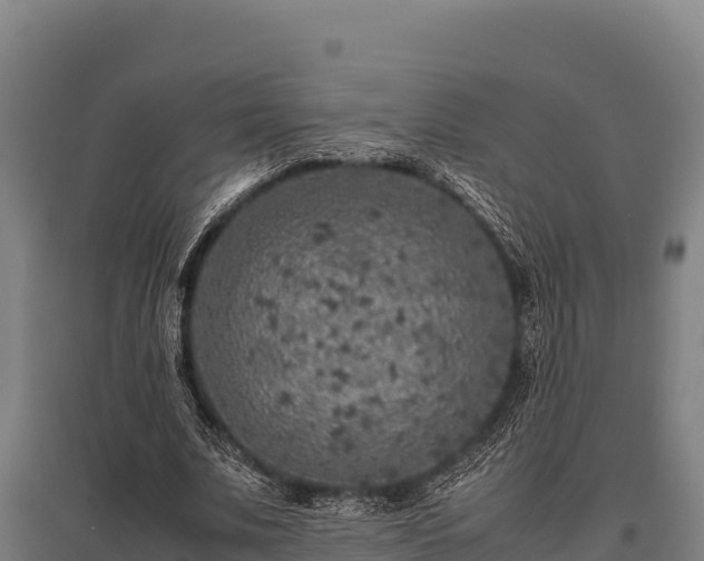 X0000095950679200801181423