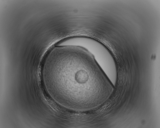 X0000095950680200801181423