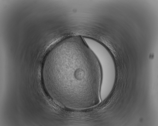 X0000095950681200801181423