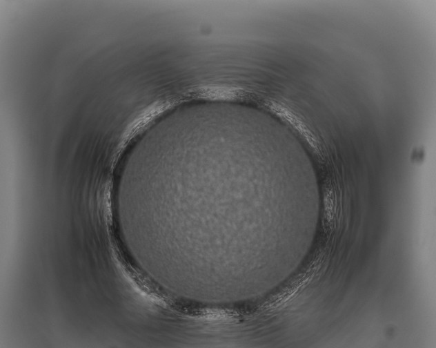 X0000095950682200801181423