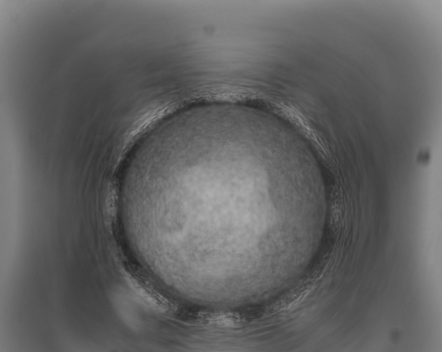 X0000095950683200801181423