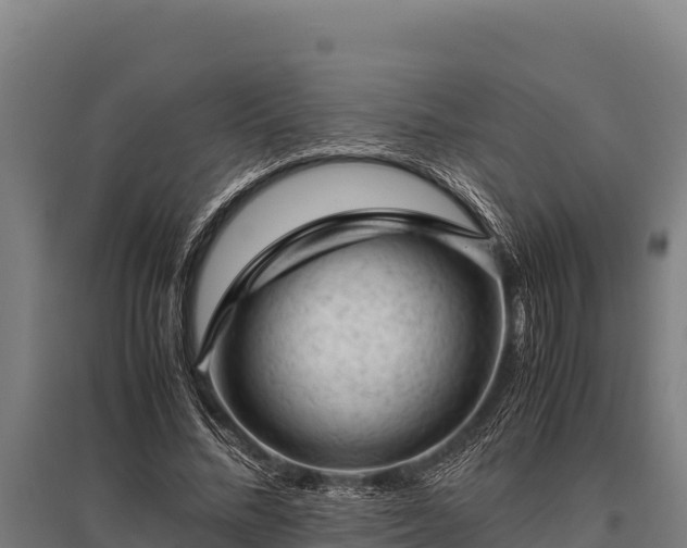 X0000095950684200801181423