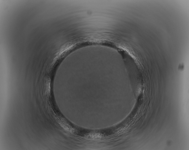 X0000095950685200801181423