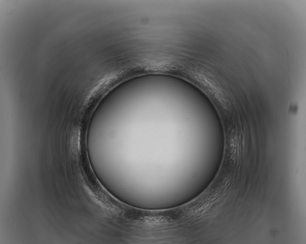 X0000095950686200801181423