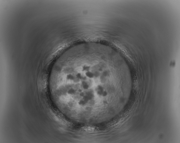 X0000095950687200801181423