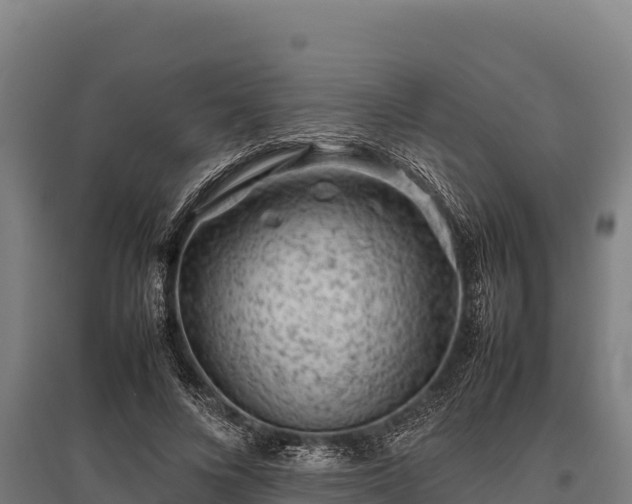 X0000095950688200801181423