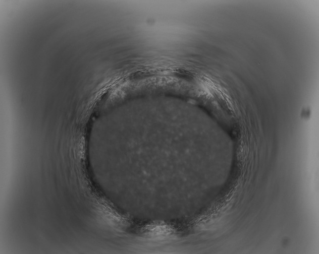 X0000095950689200801181423