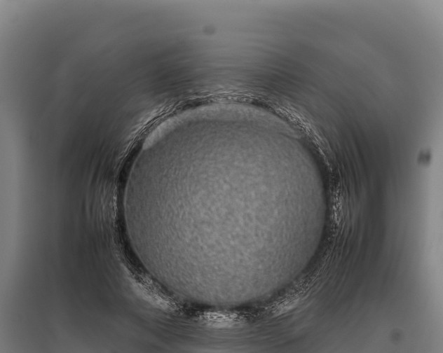 X0000095950690200801181423