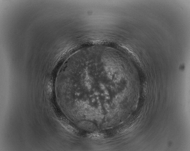 X0000095950691200801181423