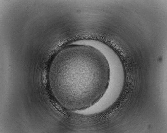 X0000095950692200801181423