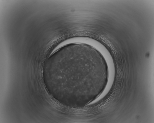 X0000095950693200801181423