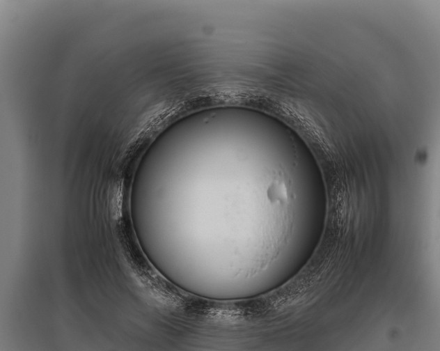 X0000095950694200801181422