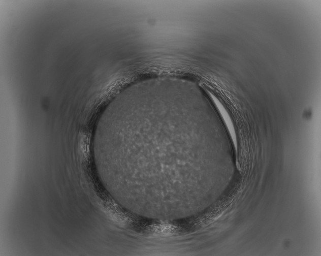 X0000095950695200801181422