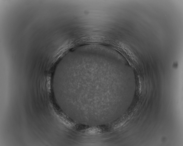 X0000095950696200801181422