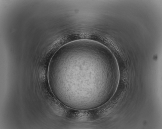 X0000095950697200801181422