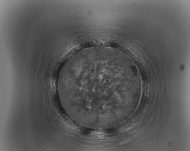 X0000095950699200801181422