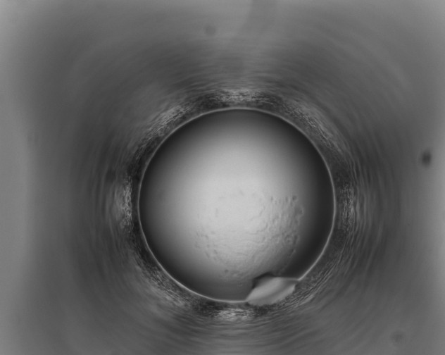 X0000095950700200801181422