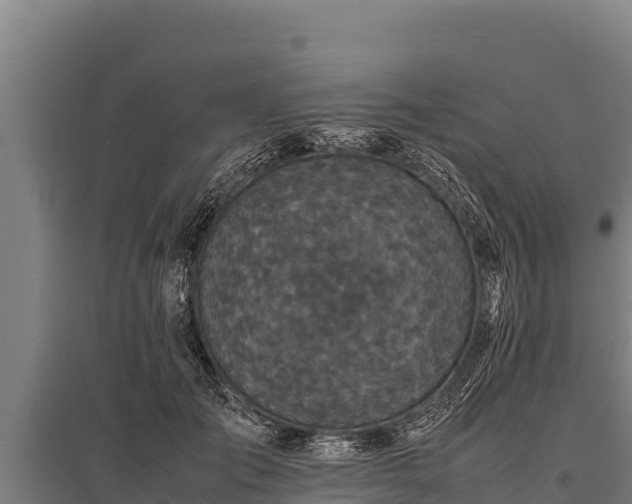 X0000095950701200801181422