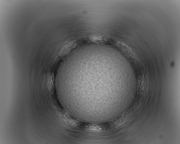 X0000095950702200801181422