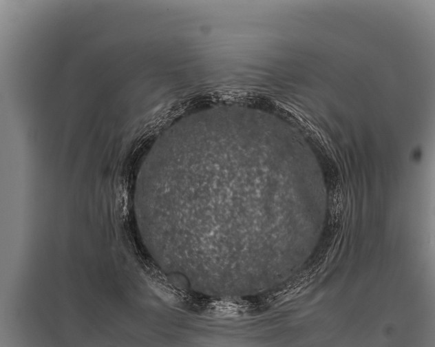 X0000095950703200801181422