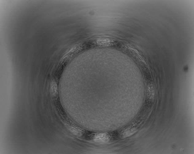 X0000095950705200801181422