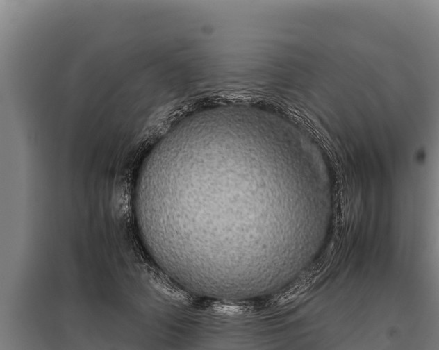 X0000095950706200801181422