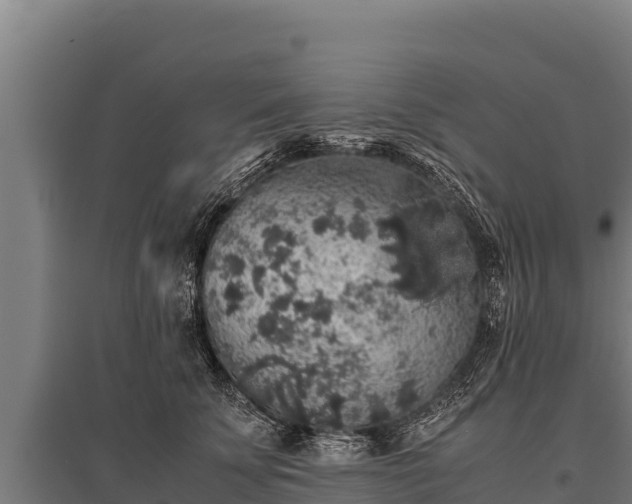 X0000095950707200801181422