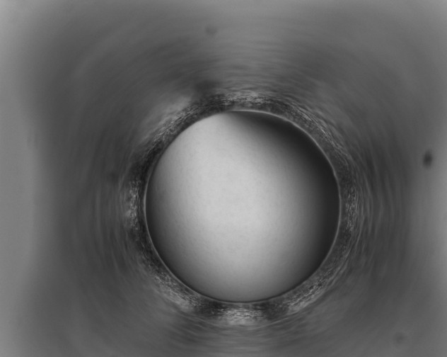 X0000095950708200801181422