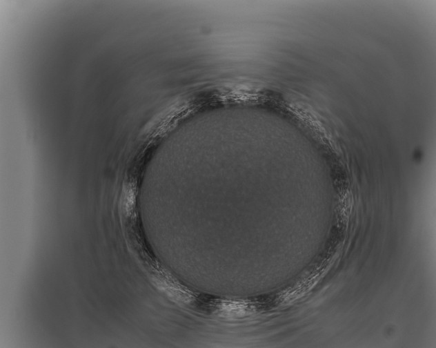 X0000095950709200801181422