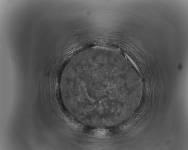 X0000095950711200801181422