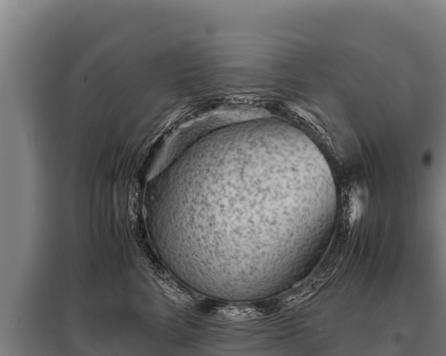 X0000095950712200801181422