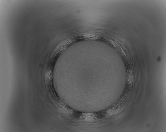 X0000095950713200801181422