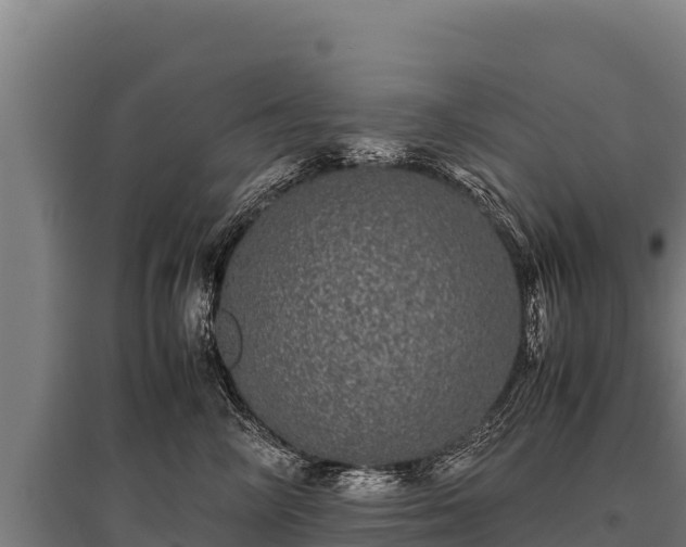 X0000095950714200801181422