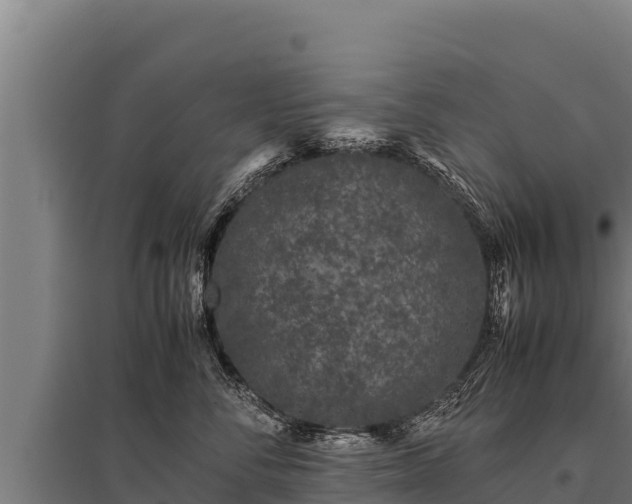 X0000095950716200801181422