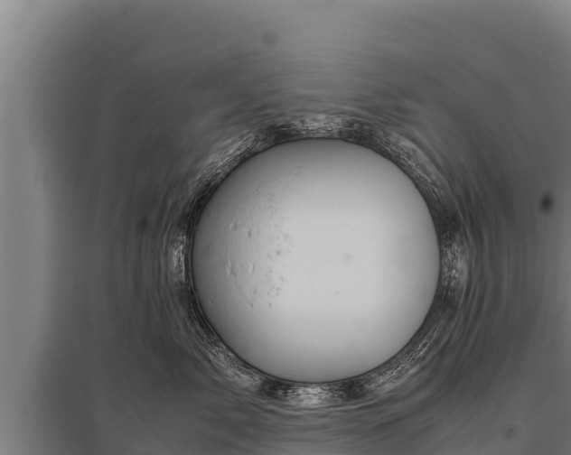 X0000095950717200801181422