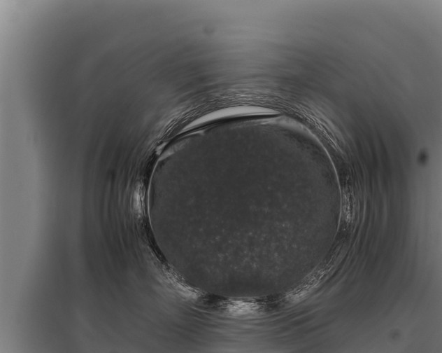 X0000095950718200801181422