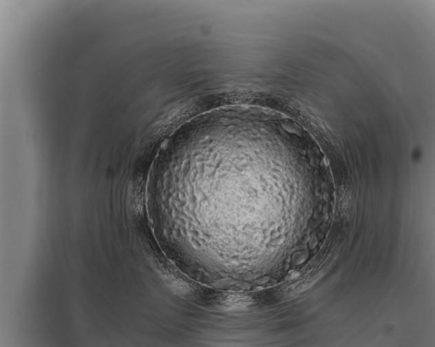 X0000095950719200801181422