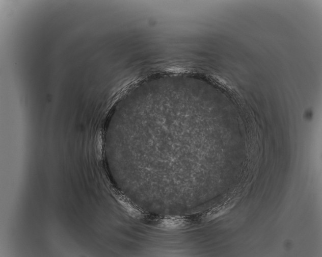 X0000095950720200801181422