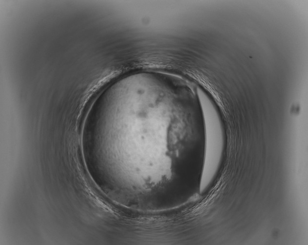 X0000095950721200801181421